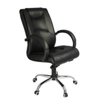 Ghế da cao cấp GX202A