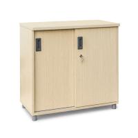 Tủ gỗ văn phòng TGL02